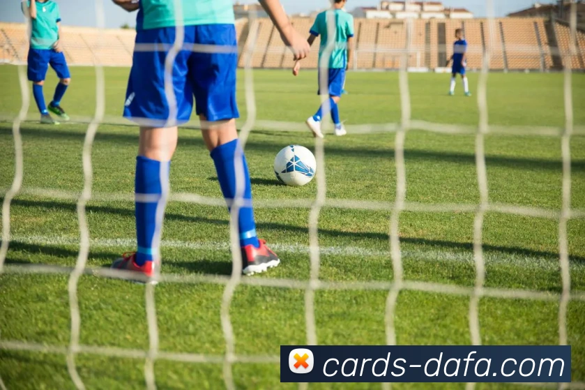 大发娱乐APP 封面图